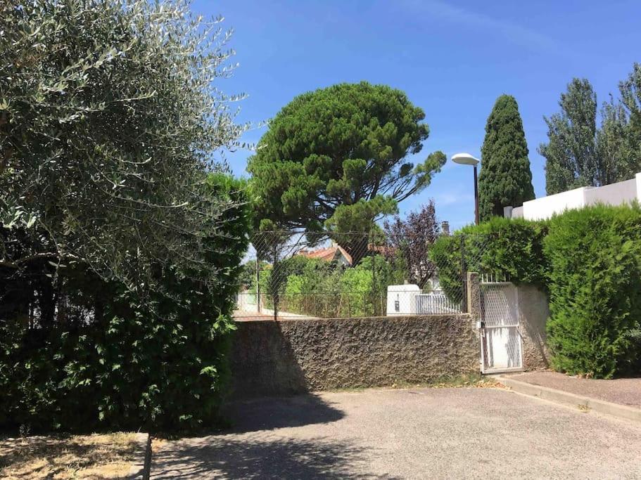 Pied A Terre Pour Decouvrir La Provence Et Avignon